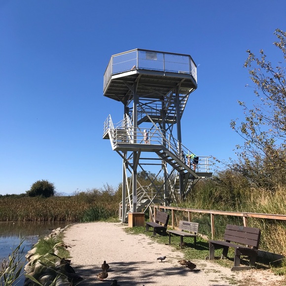 Meet your Posher, Andrea - Picture 1 of 1